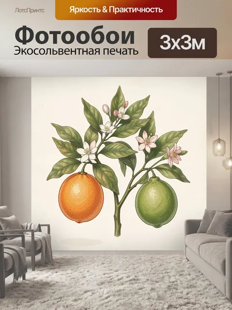 Фотообои Ветка цитруса с плодами