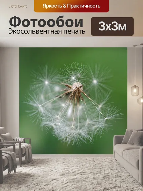 Фотообои Цветок