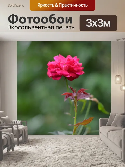 Фотообои Цветок