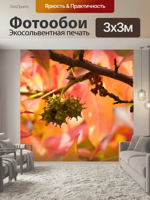 Фотообои Листья