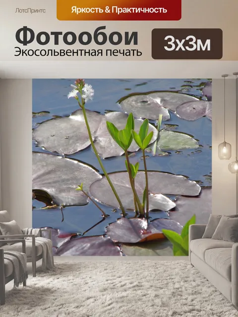 Фотообои Цветок