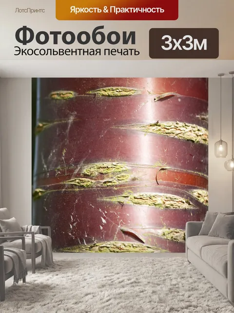 Фотообои Кора текстуры фона