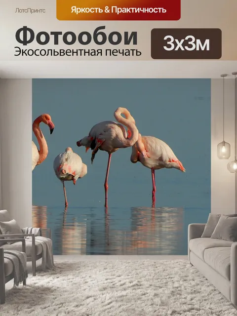 Фотообои Фламинго