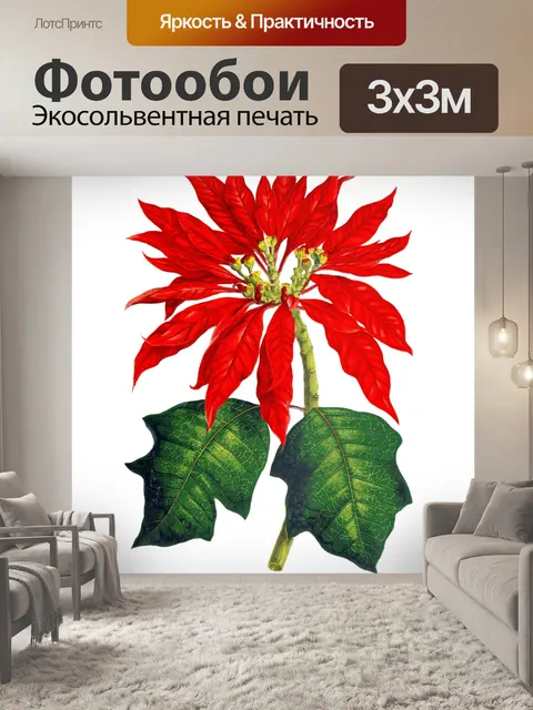 Фотообои Винтажный рождественский зажим для пуанс