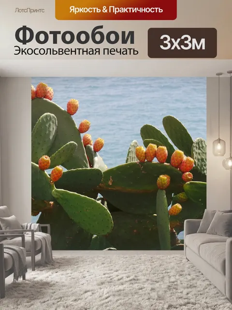 Фотообои Кактус
