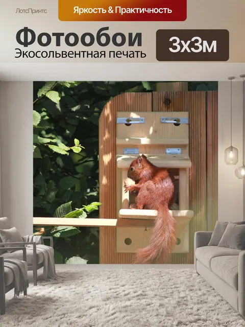 Фотообои Белка
