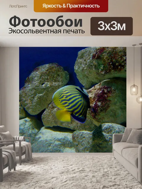 Фотообои Fish
