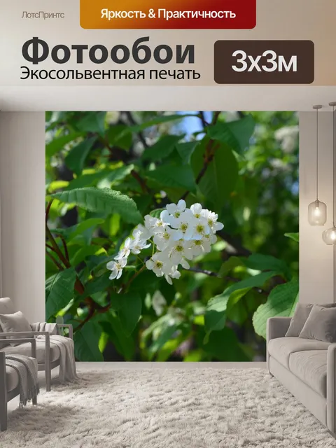 Фотообои Цветы