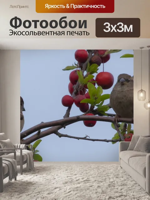 Фотообои Воробей