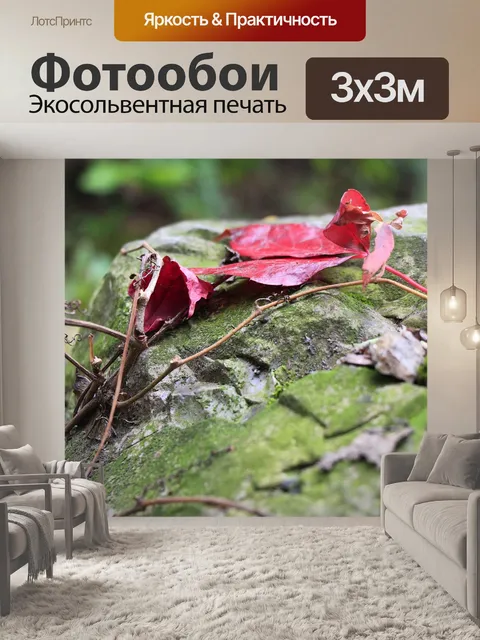 Фотообои Лист