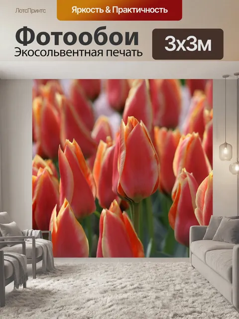 Фотообои Тюльпаны