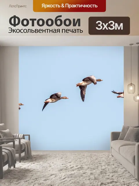 Фотообои Птицы