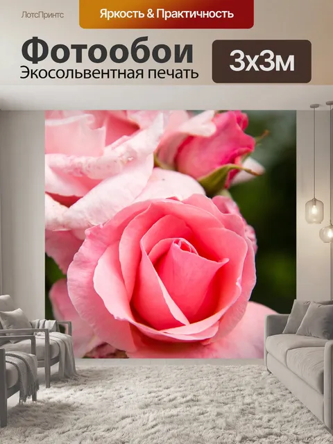 Фотообои Роза