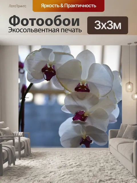 Фотообои Белые орхидеи Каскад