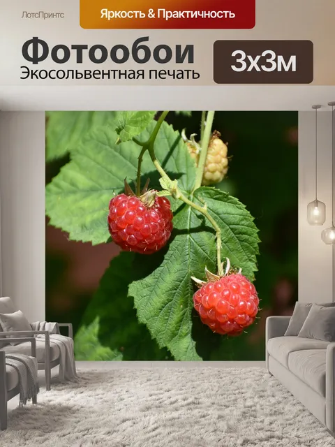 Фотообои Цветы