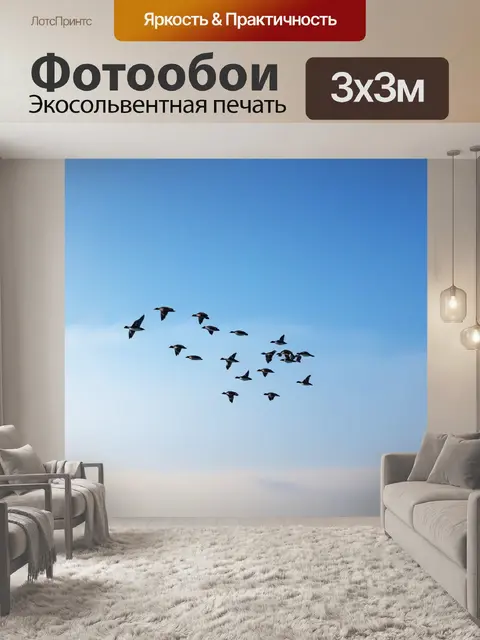 Фотообои небо в тумане с летающими гусем