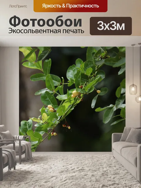 Фотообои Дерево