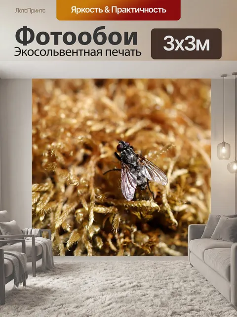 Фотообои Летать