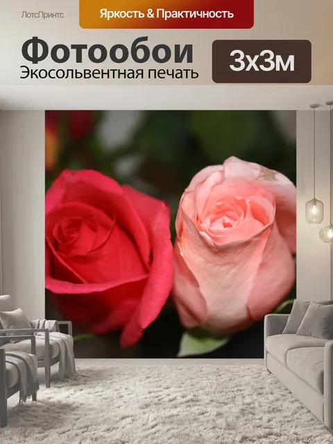 Фотообои Розы