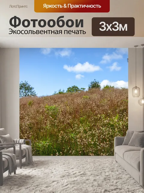 Фотообои Поле летом