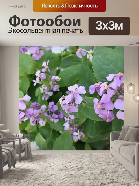 Фотообои Цветы
