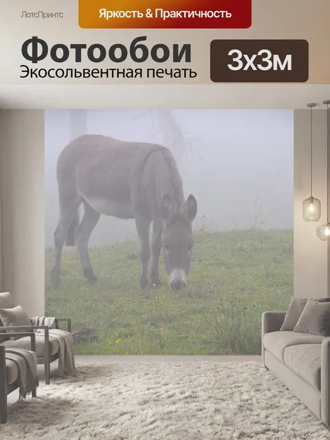 Фотообои Осел