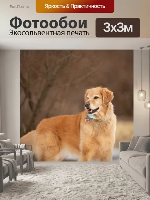 Фотообои Собака