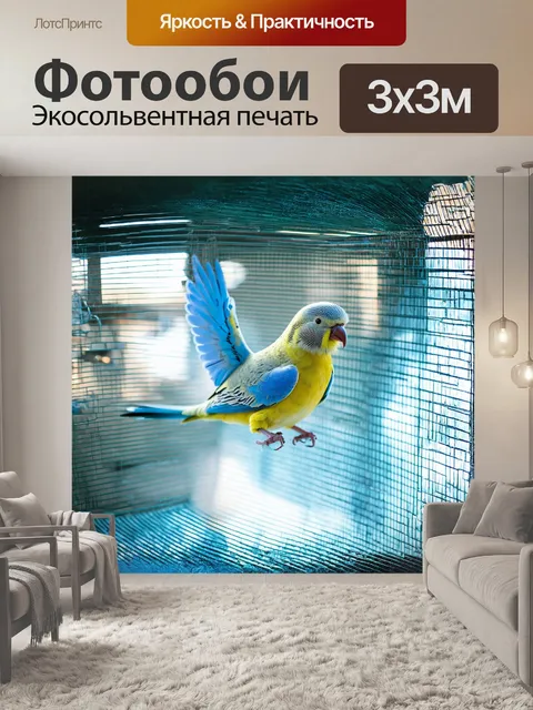 Фотообои одинокий волнистый попугайчик