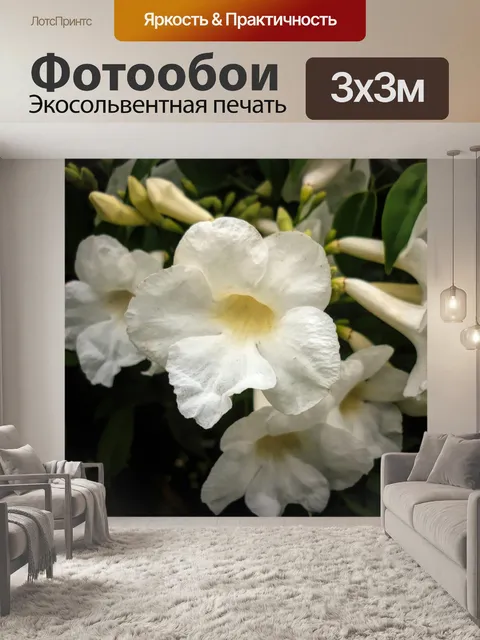 Фотообои Цветы