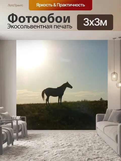 Фотообои Лошадь