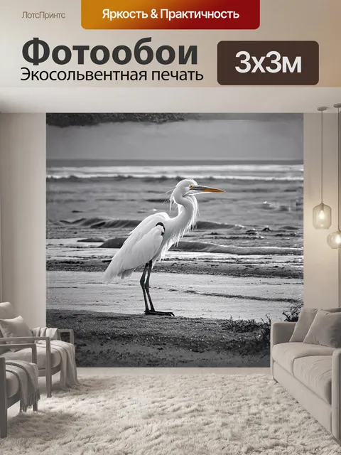 Фотообои большая белая цапля, наслаждающаяся свежепойманной рыбой на песчаном берегу, под теплым закатом…