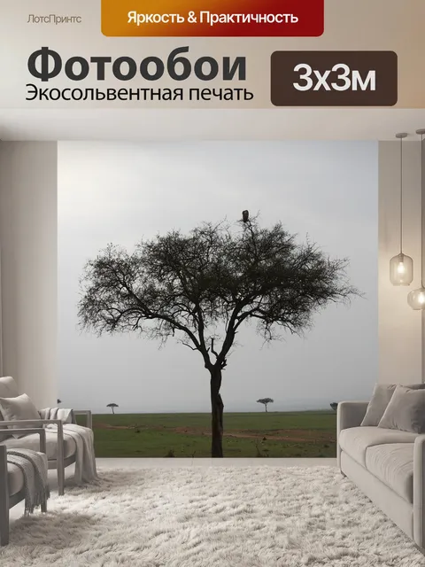 Фотообои Акация