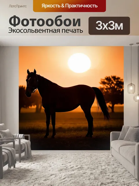 Фотообои с лошадью на фоне заката