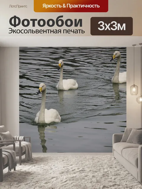 Фотообои Лебеди