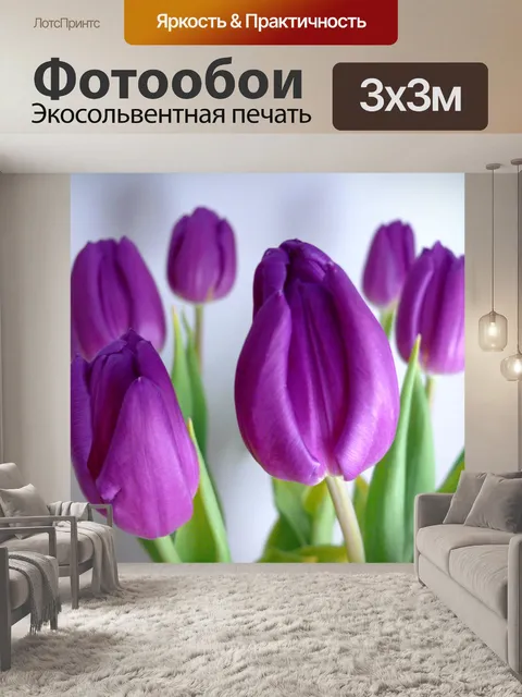 Фотообои Тюльпаны