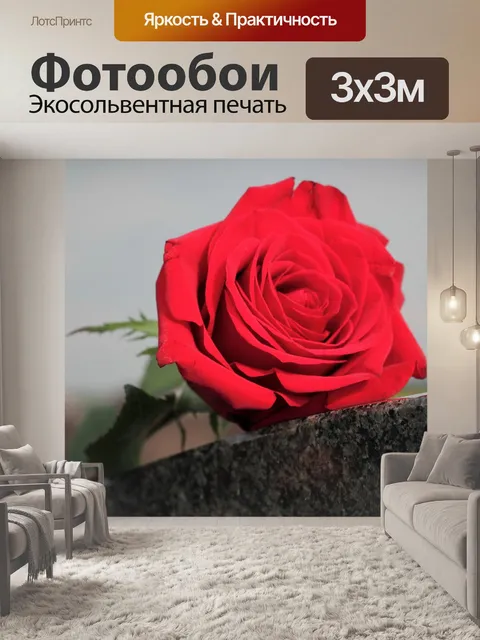 Фотообои Красная роза