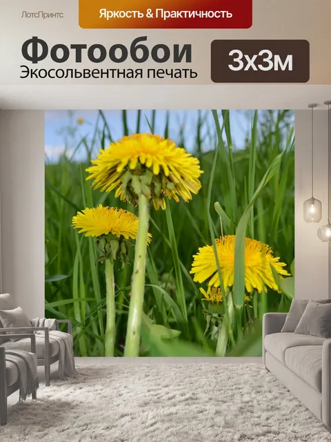 Фотообои Одуванчики.