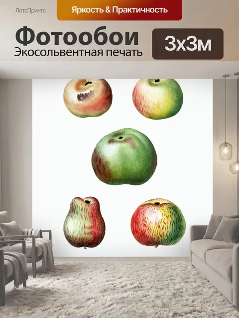 Фотообои Фрукты яблоки винтаж старый