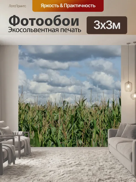 Фотообои Пейзаж Природа