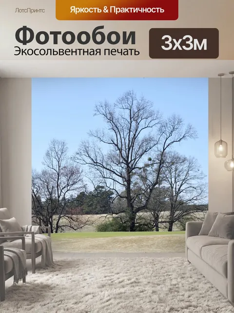 Фотообои Бесплодные деревья