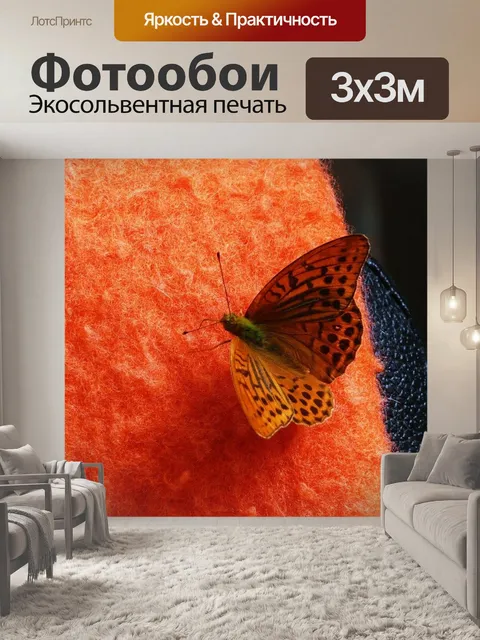 Фотообои Бабочка