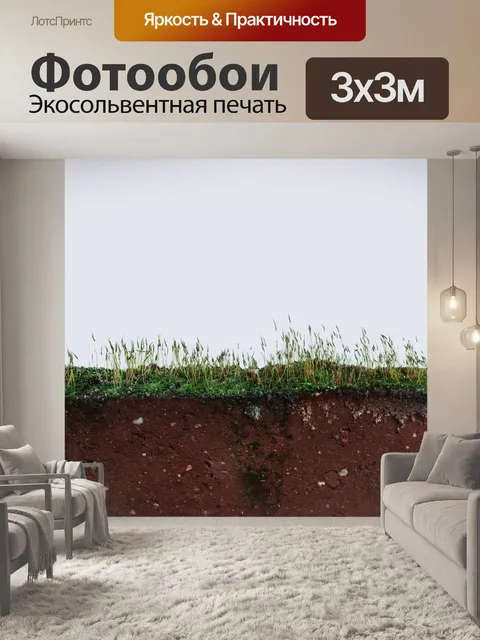 Фотообои Мох