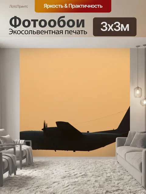 Фотообои грузовой самолет на закате