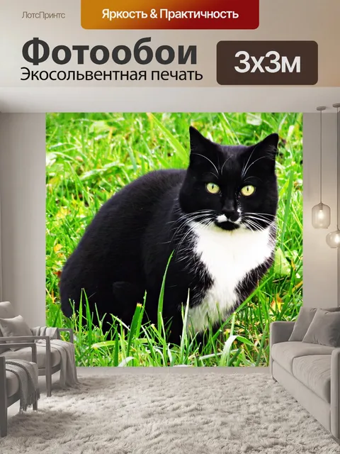 Фотообои Кошка