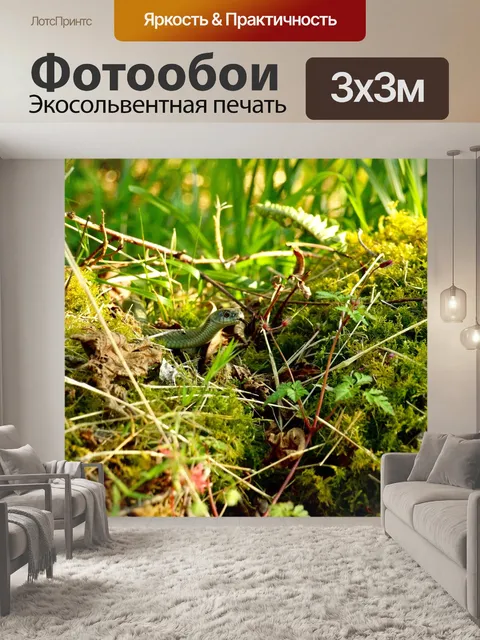 Фотообои Змея