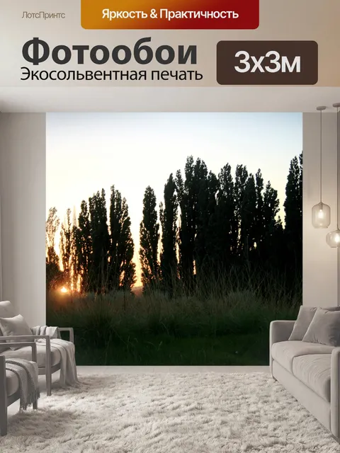 Фотообои Ломбарди тополей