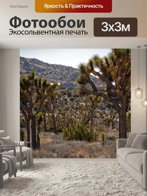 Фотообои Национальный памятник Джошуа Три
