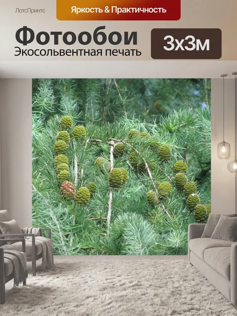 Фотообои Лес