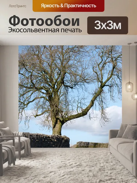 Фотообои дерево