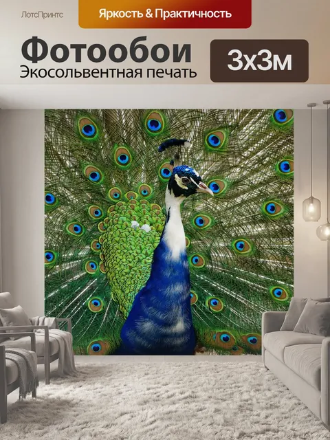 Фотообои Павлин